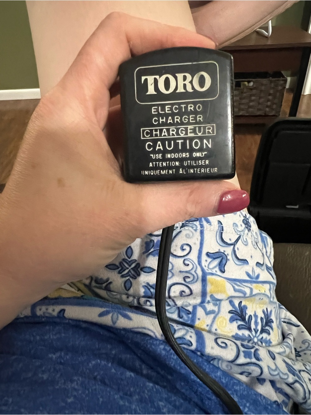Toro Electro Charger OBO